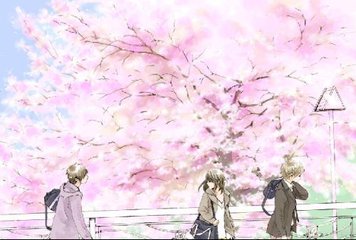 红桃视颏
